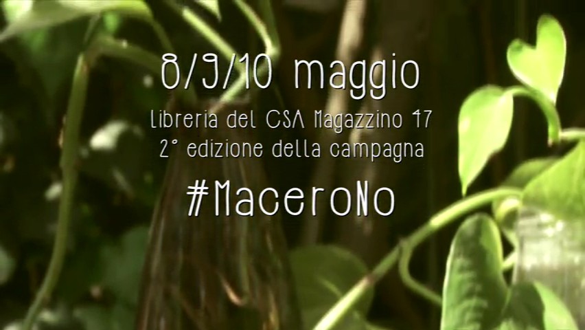 #MaceroNo